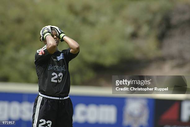 Goalie Karina LeBlanc of the Boston Breakers agonizes over not making the save on a penalty kick from the San Diego Spirit during the second half of...