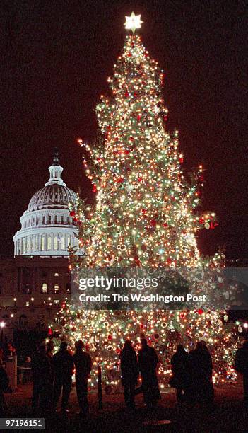 The Capitol "holiday" tree, officiall lighting ceremony on the west lawn of the Capitol. Pictured, The 70-foot Douglas fir, a gift from the state of...