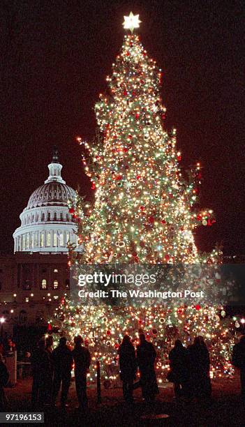 The Capitol "holiday" tree, officiall lighting ceremony on the west lawn of the Capitol. Pictured, The 70-foot Douglas fir, a gift from the state of...