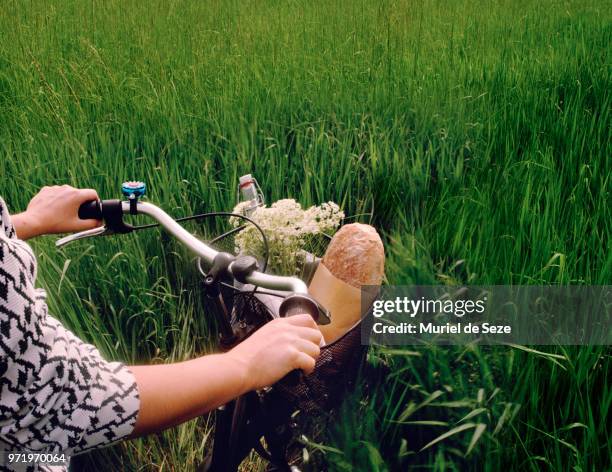 picnic in bicycle basket - picknick stockfoto's en -beelden