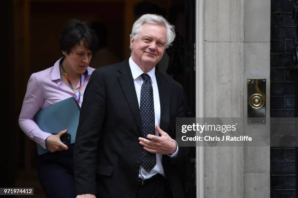 Brexit Secretary David Davis leaves following a cabinet meeting at 10 Downing Street on June 12, 2018 in London, England.