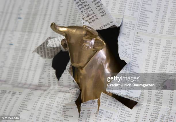 Symbol photo on the topics Bull , economy, economic situation, stock exchange, stock market numbers, upturn and downturn, etc. Bull breaks through...