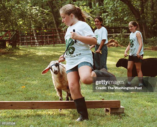 Woodwardt 128416 preview story for county fair about suburban kids who have "raised" the sheep that they will show next week. This is, Rachel Sisk...