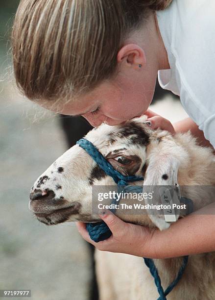 Woodwardt 128416 preview story for county fair about suburban kids who have "raised" the sheep that they will show next week. This is Rachel Sisk...