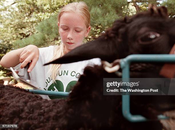 Woodwardt 128416 preview story for county fair about suburban kids who have "raised" the sheep that they will show next week. This is Colleen...