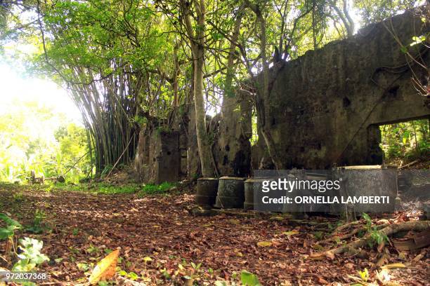 Picture taken on June 11, 2018 near M'Tsangamouji on the French territory of Mayotte, shows walls of an ancient building overgrown with vegetation...
