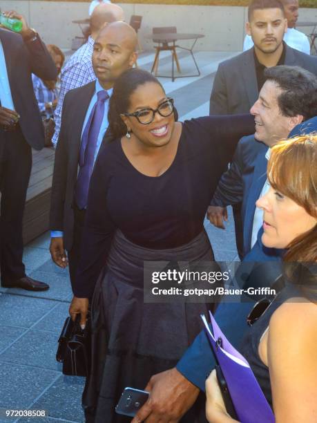 Oprah Winfrey and Peter Roth are seen on June 11, 2018 in Los Angeles, California.