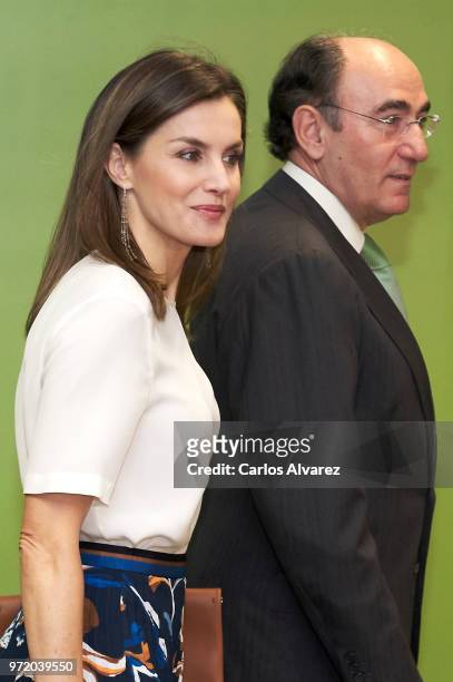 Queen Letizia of Spain and Chairman and CEO of Iberdrola Jose Ignacio Sanchez Galan attend a meeting with FAD Foundation members at Iberdrola on June...