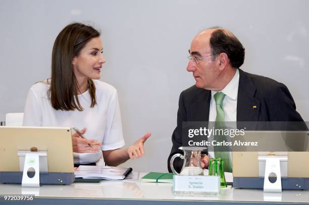 Queen Letizia of Spain and Chairman and CEO of Iberdrola Jose Ignacio Sanchez Galan attend a meeting with FAD Foundation members at Iberdrola on June...