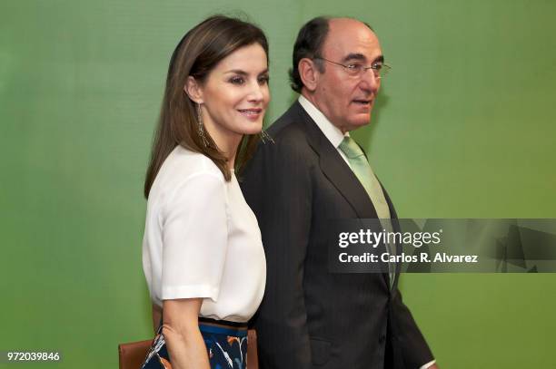 Queen Letizia of Spain and Chairman and CEO of Iberdrola Jose Ignacio Sanchez Galan attend a meeting with FAD Foundation members at Iberdrola on June...