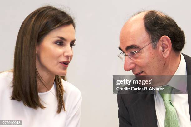 Queen Letizia of Spain and Chairman and CEO of Iberdrola Jose Ignacio Sanchez Galan attend a meeting with FAD Foundation members at Iberdrola on June...