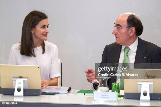 Queen Letizia of Spain and Chairman and CEO of Iberdrola Jose Ignacio Sanchez Galan attend a meeting with FAD Foundation members at Iberdrola on June...