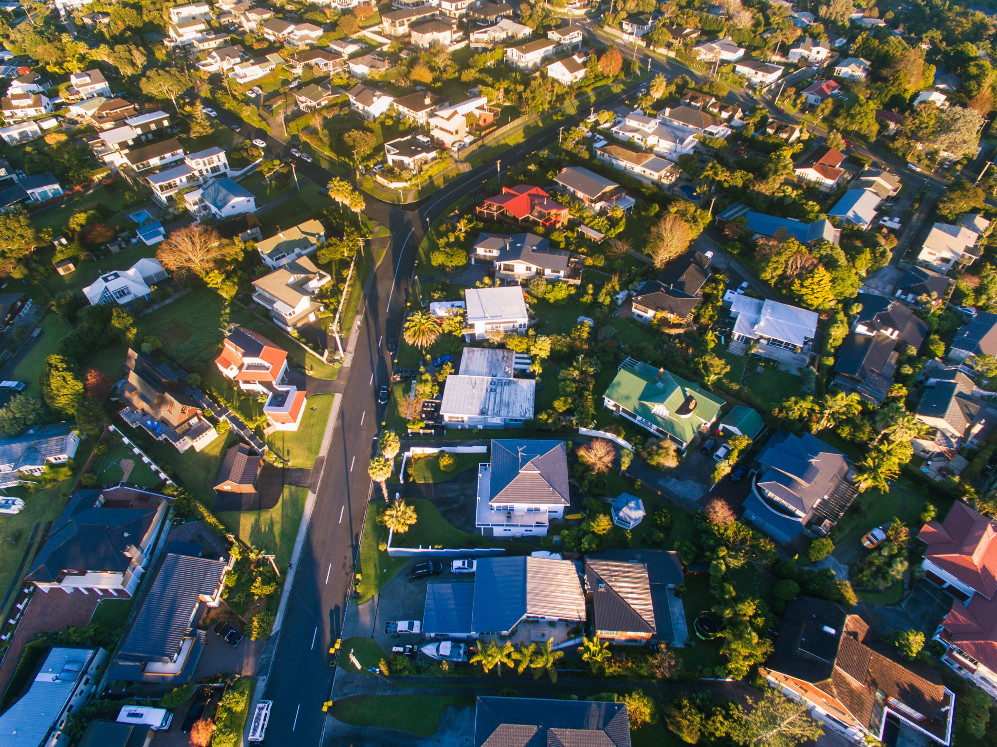 auckland homes