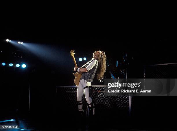 Ted Nugent performs live on stage at the Palladium in Los Angeles in 1984