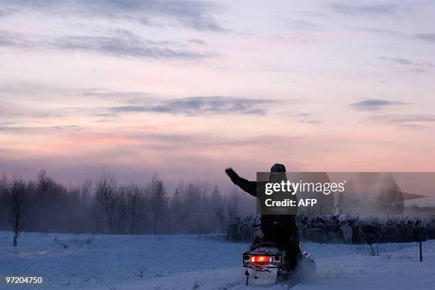 Herders round up reindeer on snowmobiles near a farm in Lovozero on February 16, 2010. In a billowing cloud of white, Russia's Arctic herders drive...