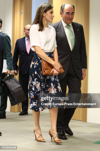 Queen Letizia of Spain and Ignacio Sanchez Galan attend Foundation Against Drugs at Iberdrola headquarters on June 12, 2018 in Madrid, Spain.