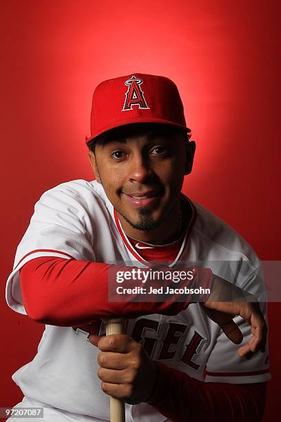 Maicer Izturis of the Los Angeles Angels of Anaheim poses during media photo day at Tempe Diablo Stadium on February 25, 2010 in Tempe, Arizona.