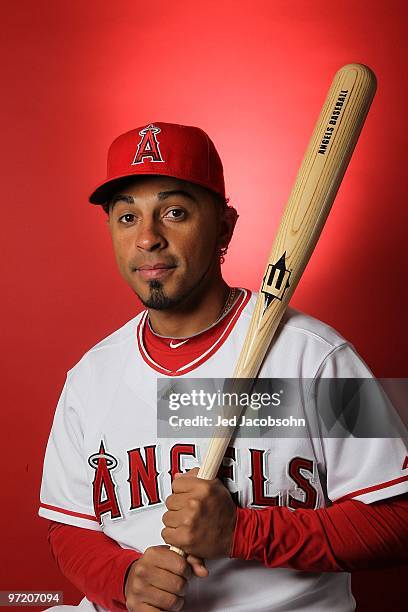 Maicer Izturis of the Los Angeles Angels of Anaheim poses during media photo day at Tempe Diablo Stadium on February 25, 2010 in Tempe, Arizona.