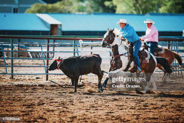 Pro Rodeo Photos 490 Professional Rodeo Cowboys Association Stock Photos, High-Res ...