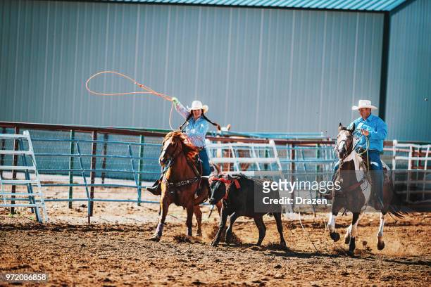 skillful cowboys and girls roping the calf - femininity masculinity stock pictures, royalty-free photos & images