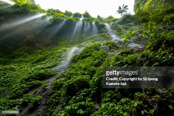 low angle of the madakaripura waterfall, probolinggo, indonesia. - copyright by siripong kaewla iad fotografías e imágenes de stock