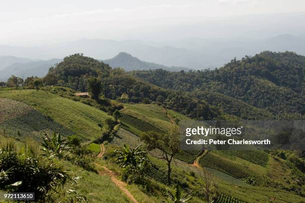 Denuded hillsides to the south of Mae Hong Son. Deforestation has been an issue in northern Thailand for decades. Thai governments have brought...