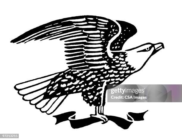 eagle - bald eagle stock illustrations
