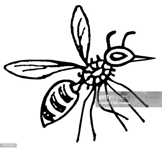 bee - mosquitos stock illustrations