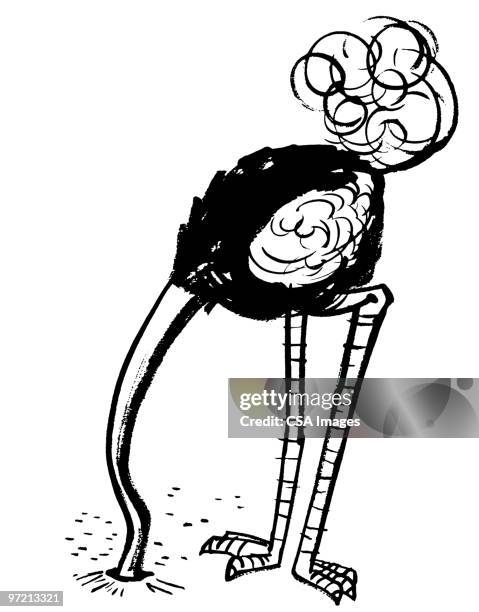 ostrich - ignoranz stock-grafiken, -clipart, -cartoons und -symbole