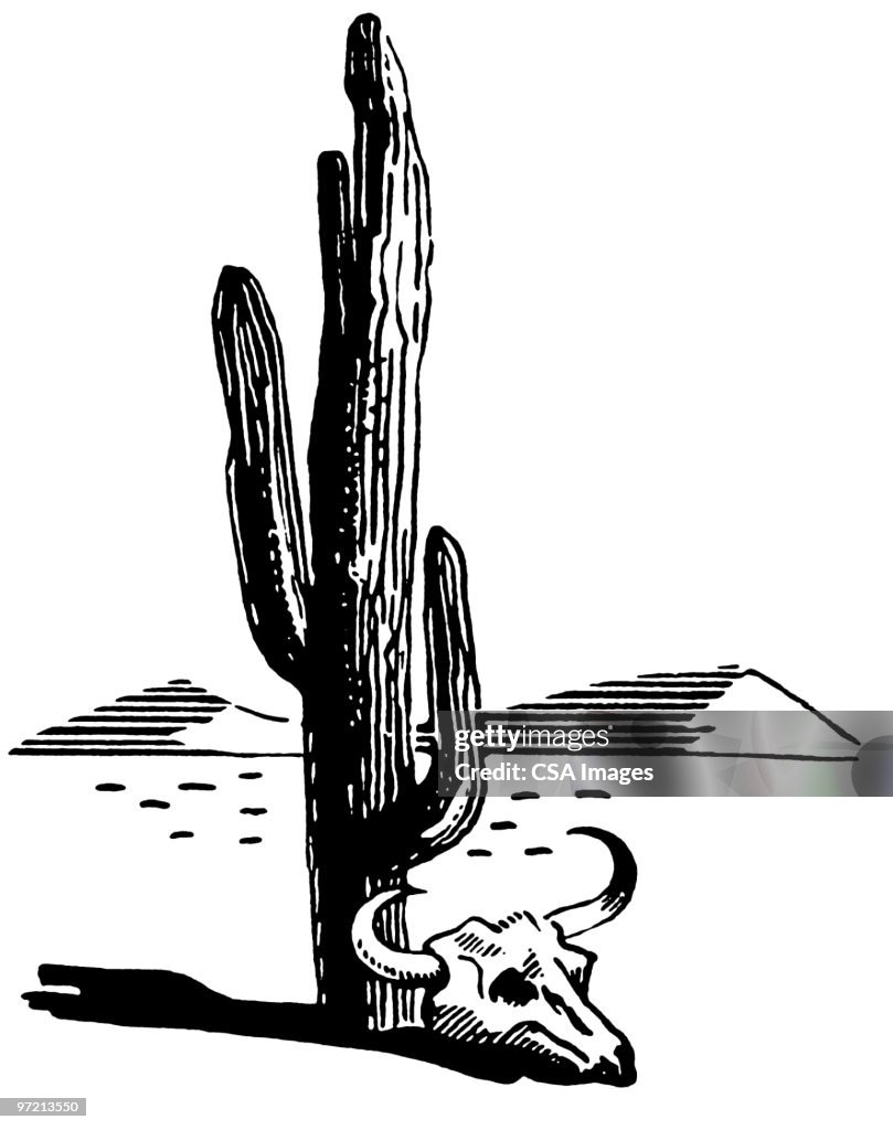 Cactus