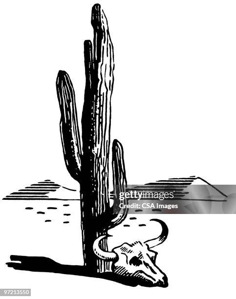 cactus - animal skull stock illustrations