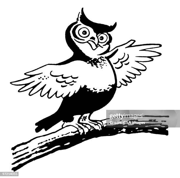 owl on a branch - black and white owl stock illustrations