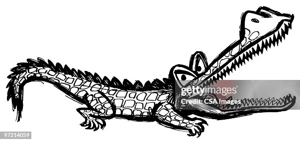 Alligator Alligator