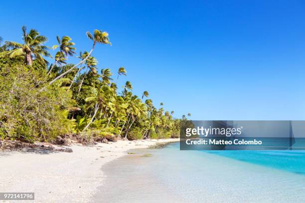beautiful exotic sandy beach with palm trees, fiji - fiji ストックフォトと画像