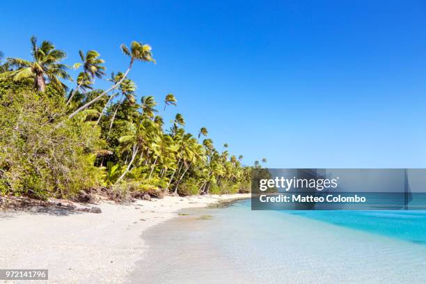 beautiful exotic sandy beach with palm trees, fiji - fiji stockfoto's en -beelden