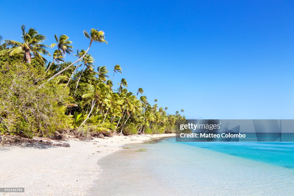 Beautiful exotic sandy beach with palm trees, Fiji