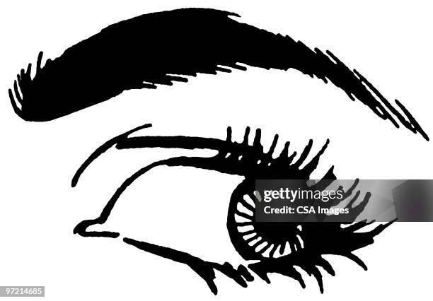 woman's eye - eyebrows stock illustrations