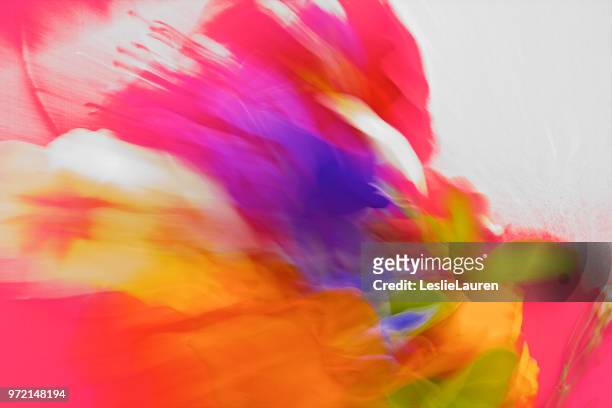 自然, 抽象充滿活力, 大膽的色彩 pantones - bright beautiful flowers 個照片及圖片檔