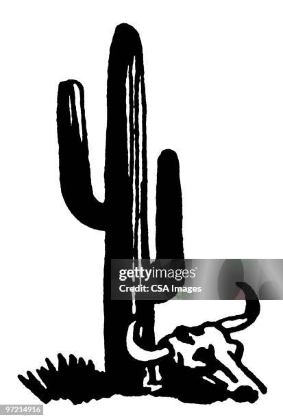 cactus - kaktus stock-grafiken, -clipart, -cartoons und -symbole