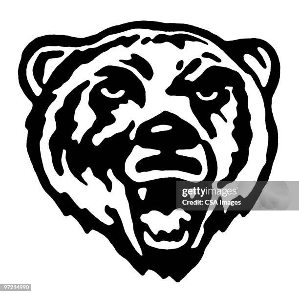 bear - roaring stock illustrations