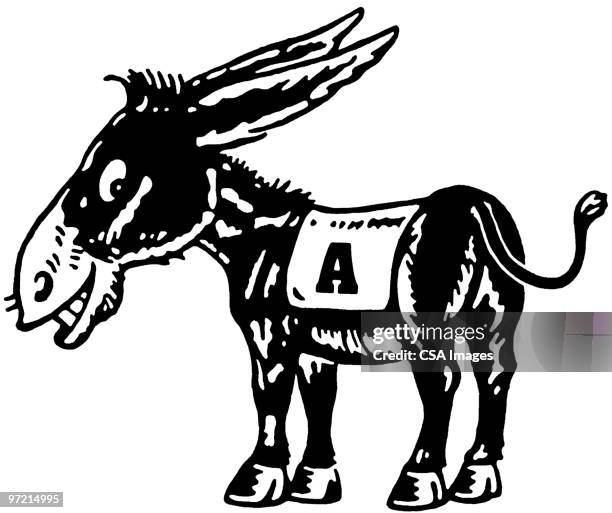 donkey - donkey stock illustrations