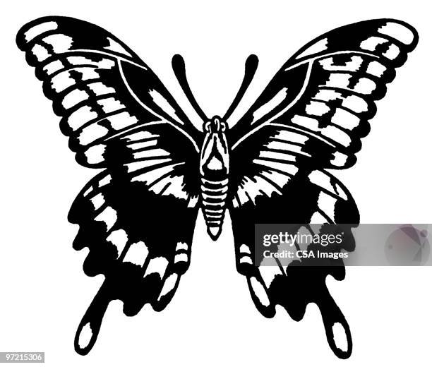 butterfly - animal antenna stock illustrations