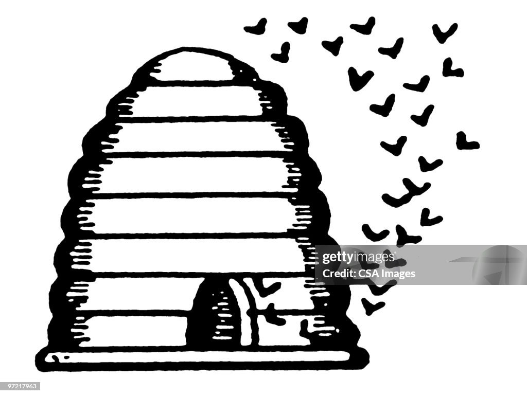 Beehive