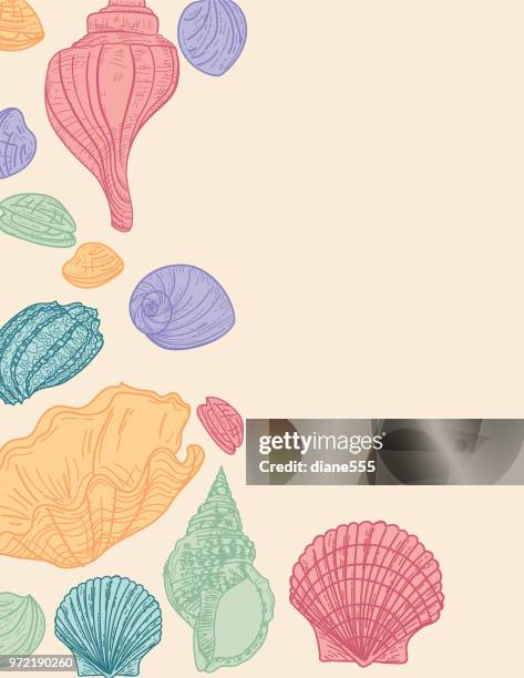 seashells background border - seashell border stock illustrations