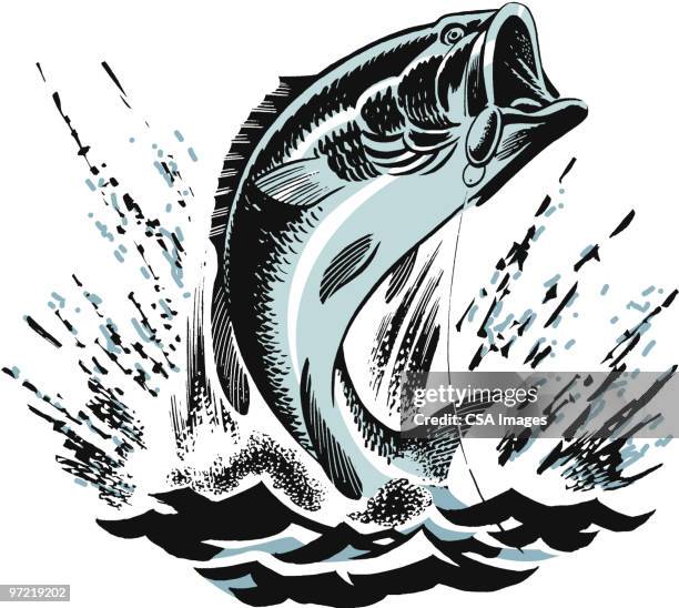 stockillustraties, clipart, cartoons en iconen met fish - visvangst