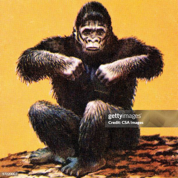 gorilla - gorilla sitting stock illustrations