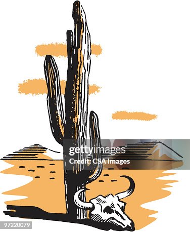 Cactus Cactus