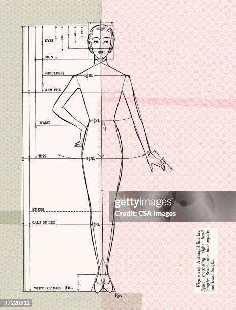 dressmaking form - woman mannequin stock illustrations