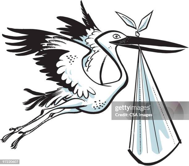 stork - stork stock illustrations