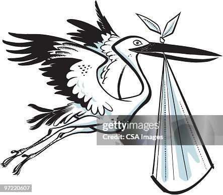 Stork Stork